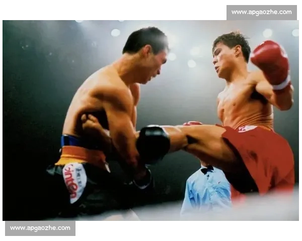 柳海龙vs巅峰对决全景解析中国格斗黄金时代记忆传奇人物成长轨迹