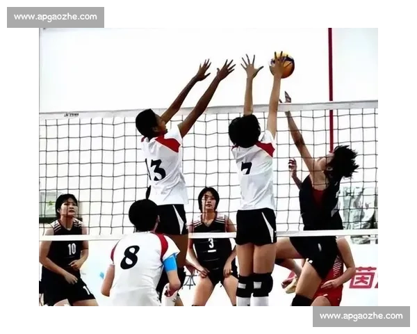 中国女排迎战荷兰女排精彩对决全程直播看点前瞻世界赛场巅峰瞬间实时解说